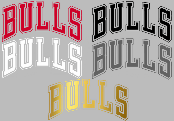 Chicago Bulls Team Name Bulls Logo Premium DieCut Vinyl Decal PICK COLOR & SIZE