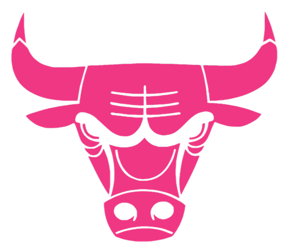 Chicago Bulls HOT PINK Team Logo Premium DieCut Vinyl Decal PICK SIZE