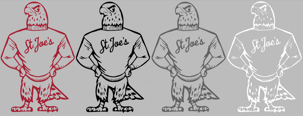 St Joseph Hawks Retro Throwback Logo Premium DieCut Vinyl Decal PICK COLOR & SIZE