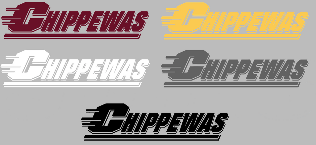 Central Michigan Chippewas Team Name Logo Premium DieCut Vinyl Decal PICK COLOR & SIZE