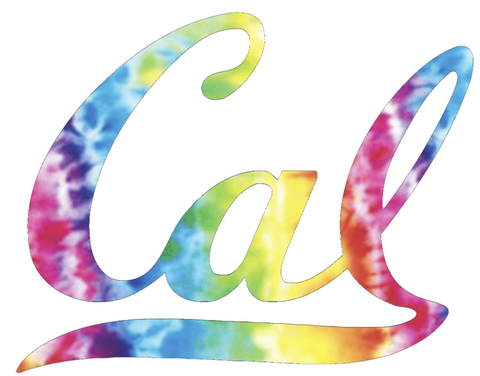Cal California Bears Team Logo Crucial Catch Cancer Multi Color Vinyl Decal PICK SIZE