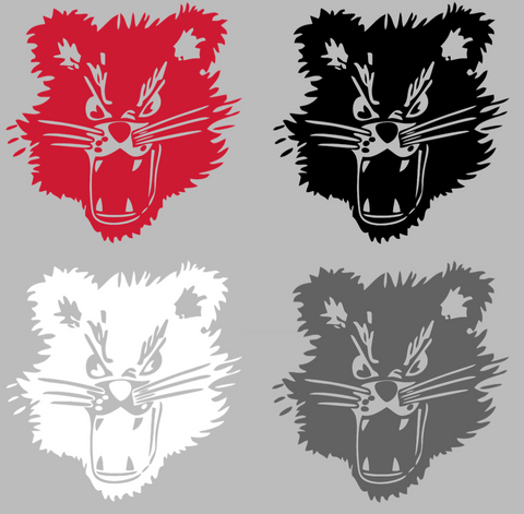 Cincinnati Bearcats Retro Throwback Logo Premium DieCut Vinyl Decal PICK COLOR & SIZE