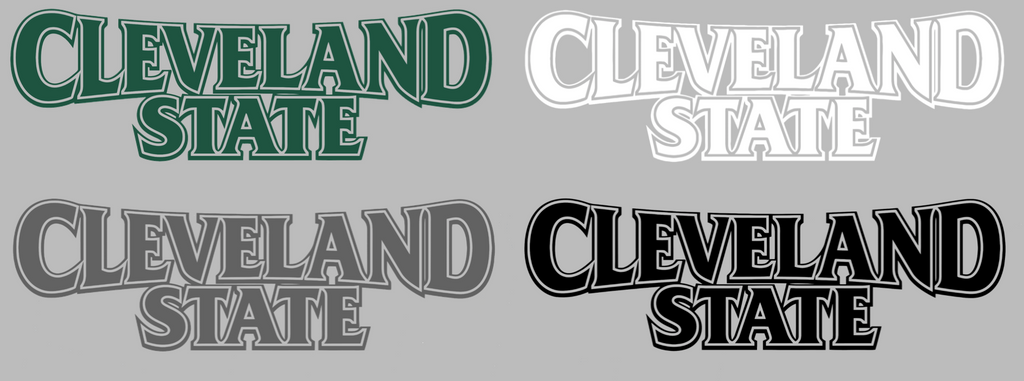 Cleveland State Vikings Team Name Logo Premium DieCut Vinyl Decal PICK COLOR & SIZE