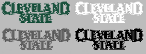 Cleveland State Vikings Team Name Logo Premium DieCut Vinyl Decal PICK COLOR & SIZE