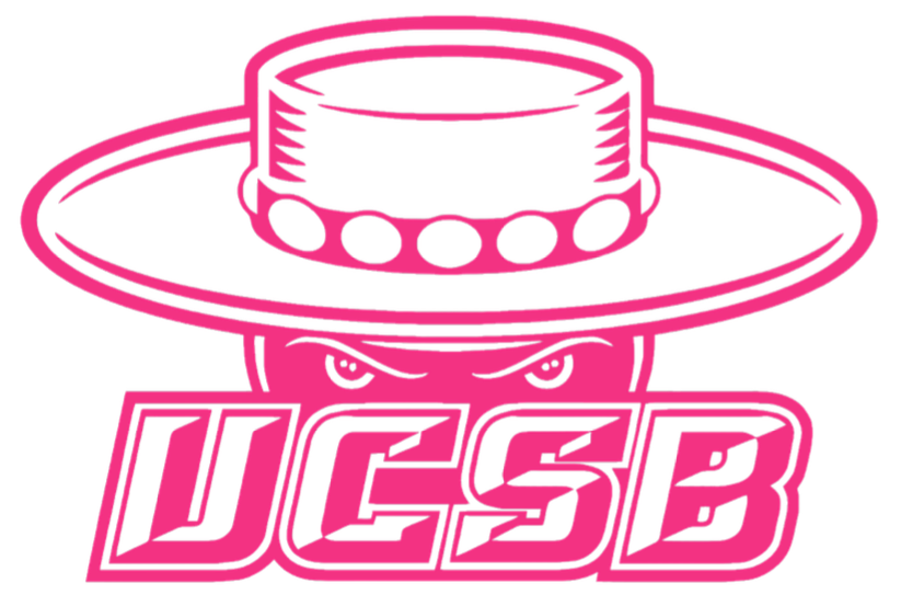 UCSB Gauchos HOT PINK Team Logo Premium DieCut Vinyl Decal PICK SIZE ...