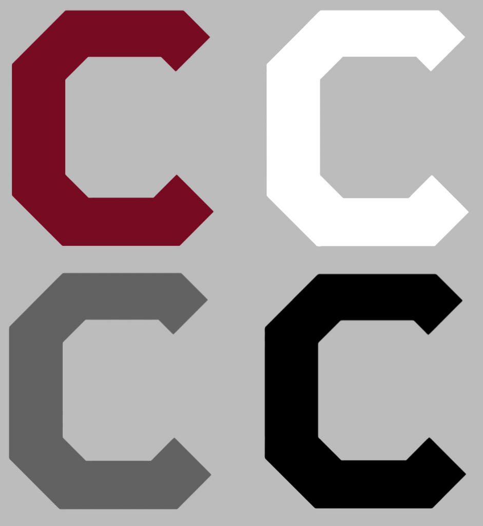 Colgate Raiders Retro Throwback Logo Vinyl Decal PICK COLOR & SIZE