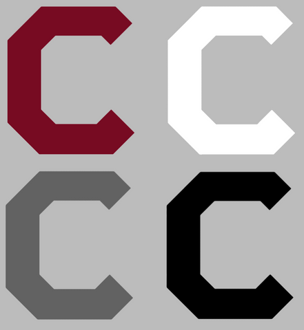 Colgate Raiders Retro Throwback Logo Vinyl Decal PICK COLOR & SIZE