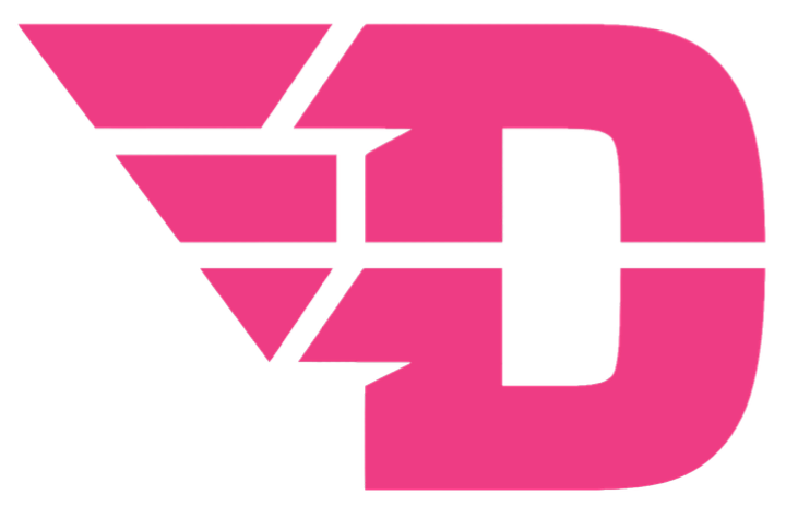 Dayton Flyers HOT PINK Team Logo Premium DieCut Vinyl Decal PICK SIZE