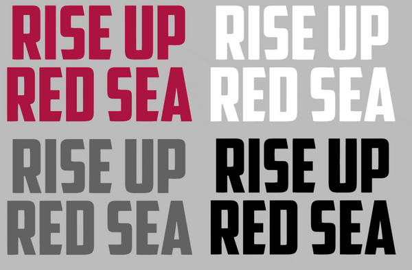 Arizona Cardinals Rise Up Red Sea Logo Premium DieCut Vinyl Decal PICK COLOR & SIZE