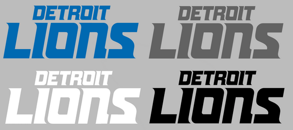 Detroit Lions Team Name Logo Premium DieCut Vinyl Decal PICK COLOR & SIZE