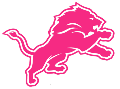 Detroit Lions Hot Pink Team Logo Premium DieCut Vinyl Decal PICK SIZE