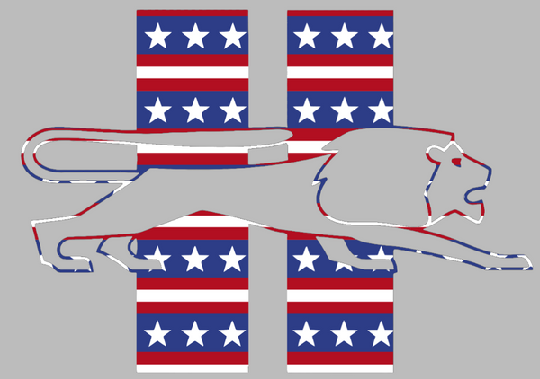 Detroit Lions Stars & Stripes Retro Throwback Logo USA American Flag Vinyl Decal PICK SIZE