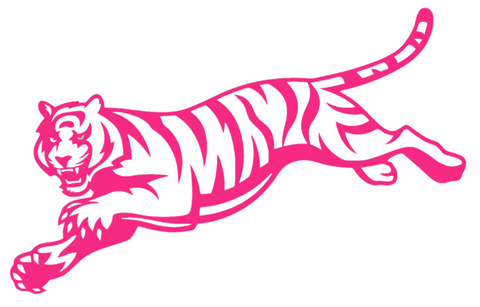 Cincinnati Bengals Hot Pink Retro Throwback Logo Premium DieCut Vinyl Decal PICK SIZE