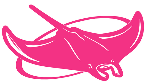 Tampa Bay Devil Rays Hot Pink Team Logo Premium DieCut Vinyl Decal PICK SIZE