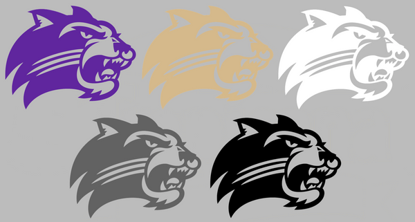 Western Carolina Catamounts Team Logo Premium DieCut Vinyl Decal PICK COLOR & SIZE