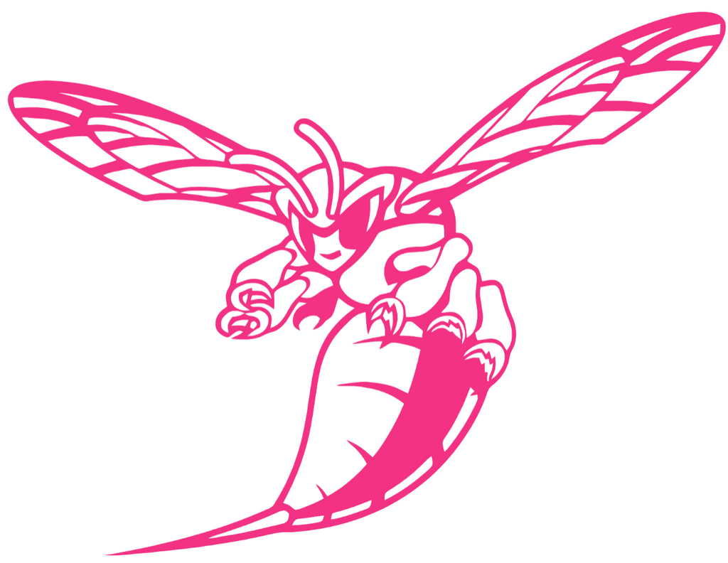 Delaware State Hornets HOT PINK Team Logo Premium DieCut Vinyl Decal PICK SIZE