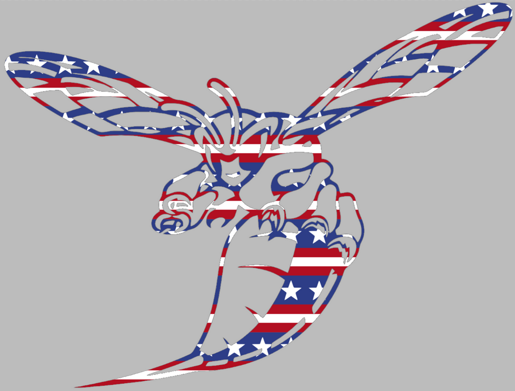 Delaware State Hornets Stars & Stripes USA American Flag Vinyl Decal PICK SIZE