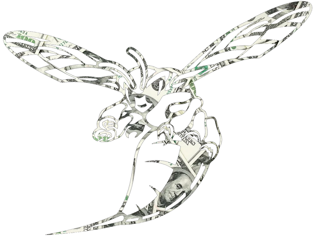 Delaware State Hornets Money Print Premium DieCut Vinyl Decal PICK SIZE
