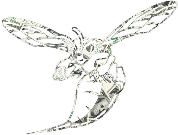 Delaware State Hornets Money Print Premium DieCut Vinyl Decal PICK SIZE