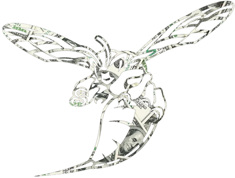 Delaware State Hornets Money Print Premium DieCut Vinyl Decal PICK SIZE