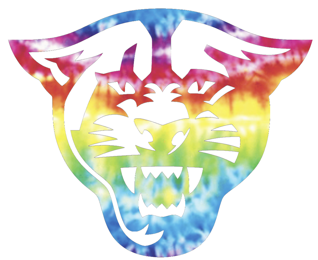 Georgia State Panthers Team Logo Crucial Catch Cancer Tie Dye Vinyl Decal PICK SIZE