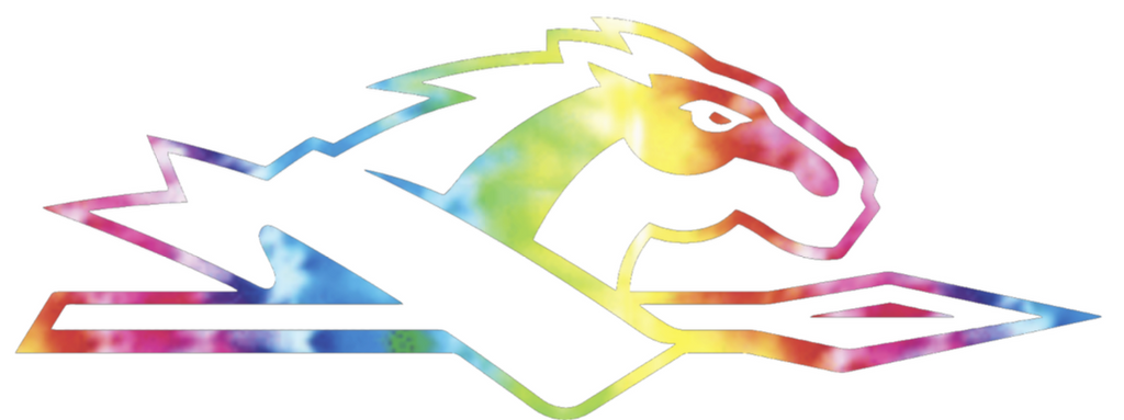 Longwood Lancers Team Logo Crucial Catch Cancer Tie Dye Vinyl Decal PICK SIZE