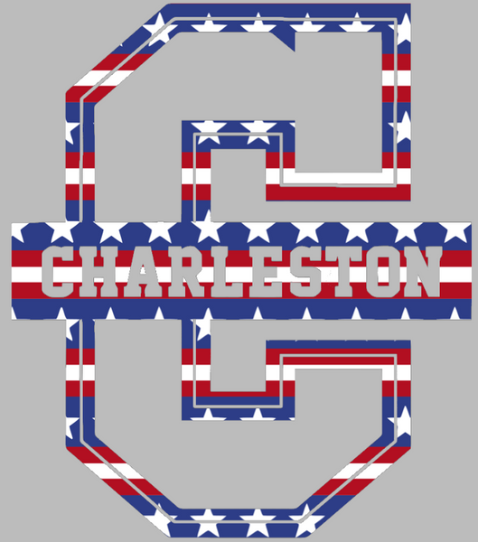 Charleston Cougars Team Logo Stars & Stripes USA American Flag Vinyl Decal PICK SIZE