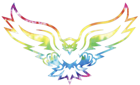 Hartford Hawks Mascot Logo Crucial Catch Cancer Tie Dye Vinyl Decal PICK SIZE