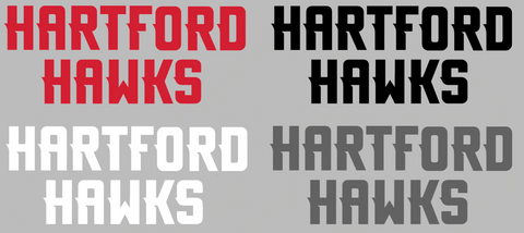 Hartford Hawks Team Name Logo Premium DieCut Vinyl Decal PICK COLOR & SIZE