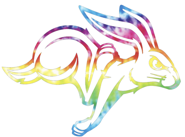 South Dakota State Jackrabbits Team Logo Crucial Catch Cancer Tie Dye Vinyl Decal PICK SIZE