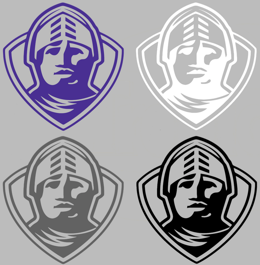 Furman Paladins Retro Throwback Logo Premium DieCut Vinyl Decal PICK COLOR & SIZE