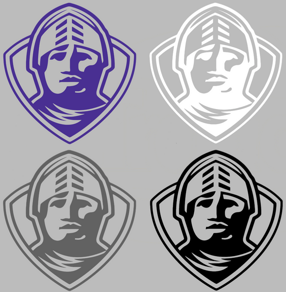 Furman Paladins Retro Throwback Logo Premium DieCut Vinyl Decal PICK COLOR & SIZE