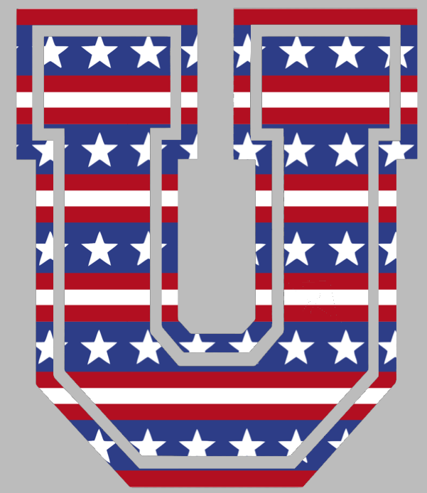 Union Dutchmen Team Logo Stars & Stripes USA American Flag Vinyl Decal PICK SIZE