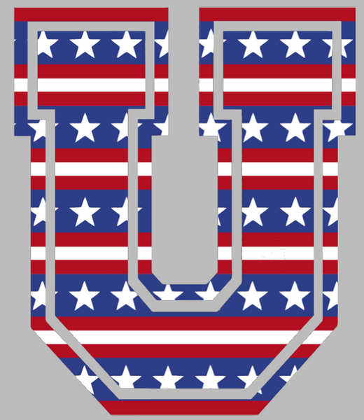 Union Dutchmen Team Logo Stars & Stripes USA American Flag Vinyl Decal PICK SIZE