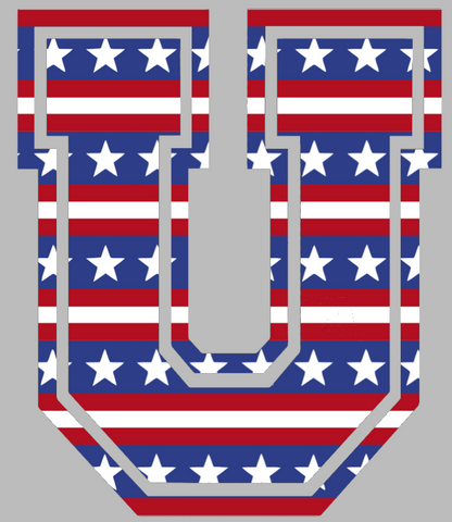 Union Dutchmen Team Logo Stars & Stripes USA American Flag Vinyl Decal PICK SIZE