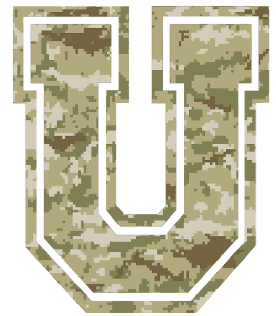 Union Dutchmen Team Logo Salute to Service Camouflage Camo Vinyl Decal PICK SIZE