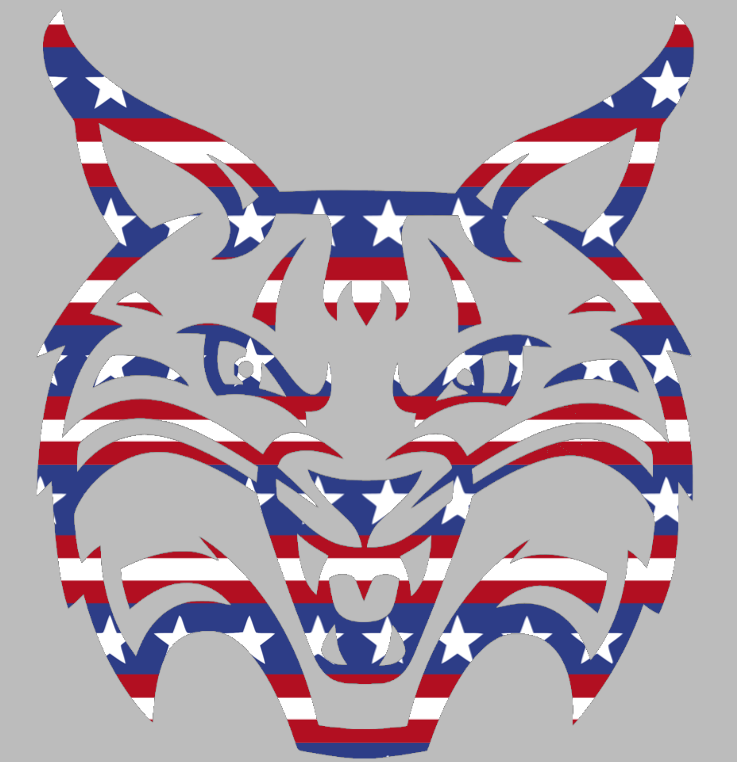 Quinnipiac Bobcats Team Logo Stars & Stripes USA American Flag Vinyl Decal PICK SIZE