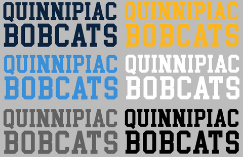 Quinnipiac Bobcats Team Name Logo Premium DieCut Vinyl Decal PICK COLOR & SIZE