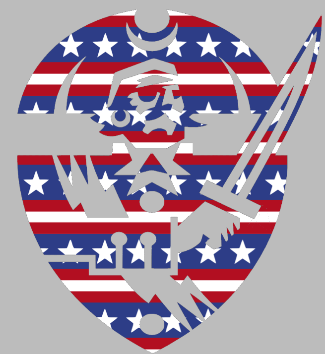 Hampton Pirates Team Logo Stars & Stripes USA American Flag Vinyl Decal PICK SIZE