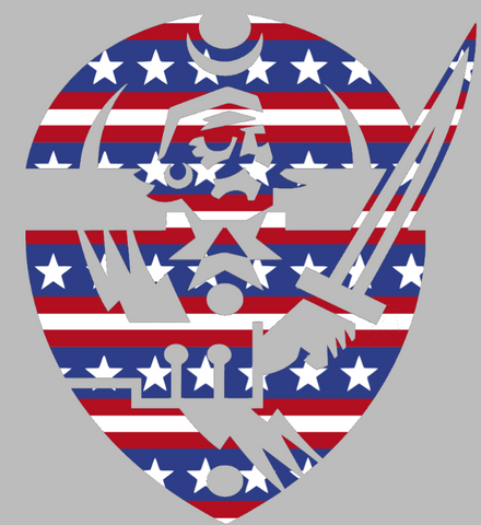 Hampton Pirates Team Logo Stars & Stripes USA American Flag Vinyl Decal PICK SIZE
