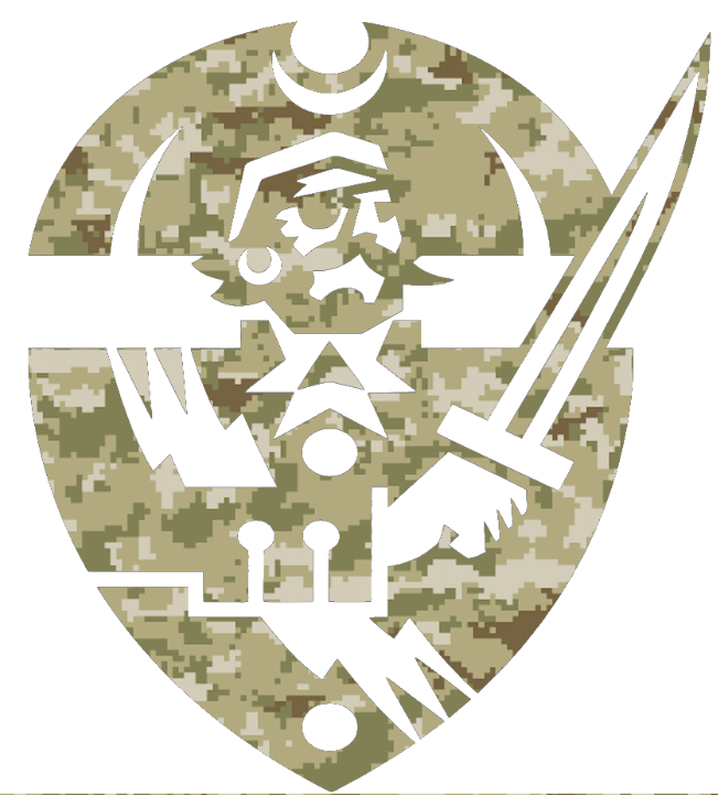 Hampton Pirates Team Logo Salute to Service Camouflage Camo Vinyl Decal PICK SIZE