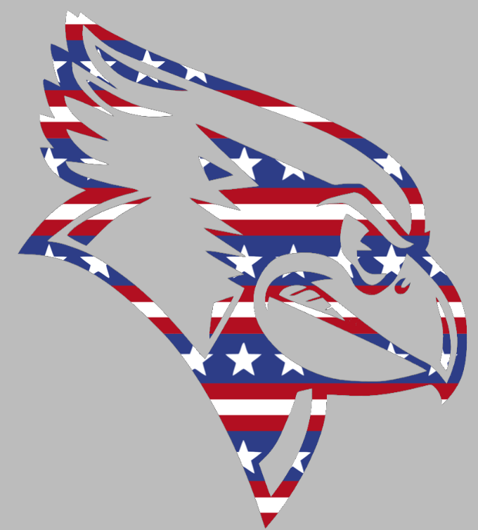 Illinois State Redbirds Team Logo Stars & Stripes USA American Flag Vinyl Decal PICK SIZE