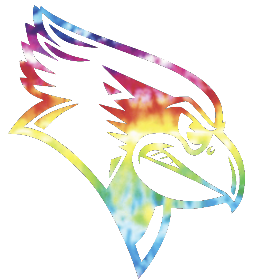 Illinois State Redbirds Team Logo Crucial Catch Cancer Tie Dye Vinyl Decal PICK SIZE