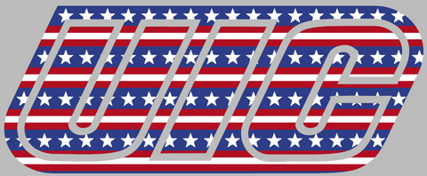 Illinois Chicago Flames Team Logo Stars & Stripes USA American Flag Vinyl Decal PICK SIZE