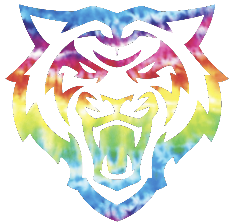 Idaho State Bengals Team Logo Crucial Catch Cancer Tie Dye Vinyl Decal PICK SIZE