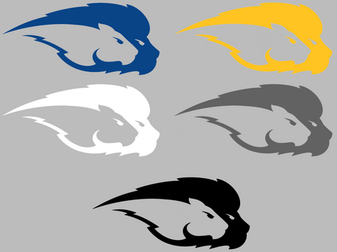Hofstra Pride Team Logo Premium DieCut Vinyl Decal PICK COLOR & SIZE