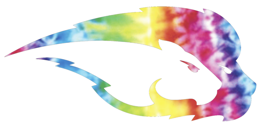 Hofstra Pride Team Logo Crucial Catch Cancer Tie Dye Vinyl Decal PICK SIZE