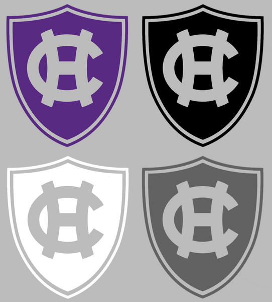 Holy Cross Crusaders Team Logo Premium DieCut Vinyl Decal PICK COLOR & SIZE