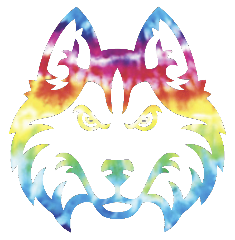 Houston Christian Huskies Team Logo Crucial Catch Cancer Tie Dye Vinyl Decal PICK SIZE