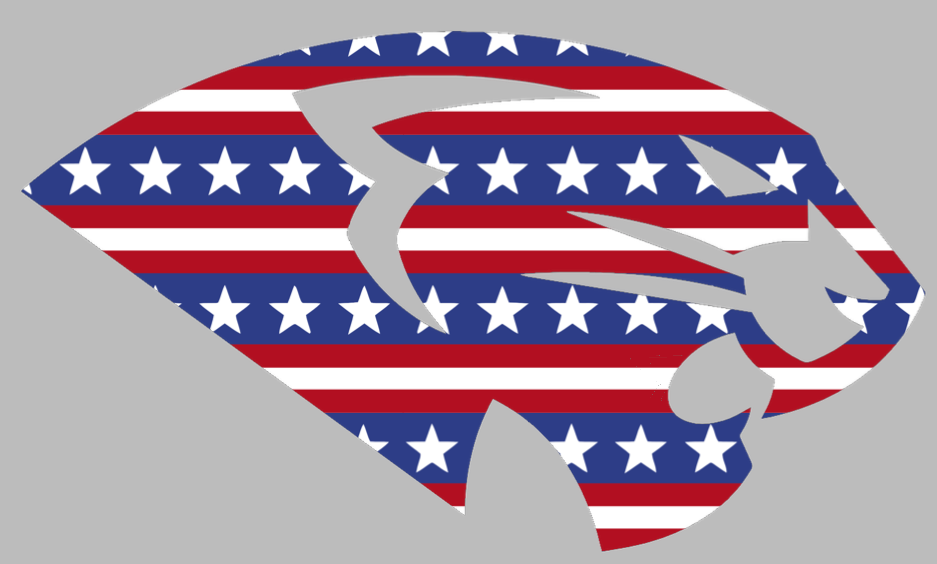 High Point Panthers Mascot Logo Stars & Stripes USA American Flag Vinyl Decal PICK SIZE